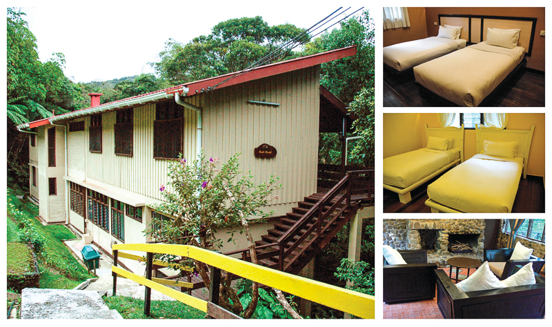 Example of basic twin share room in Kinabalu Park